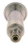 BOSCH Handförderpumpe 2447222099