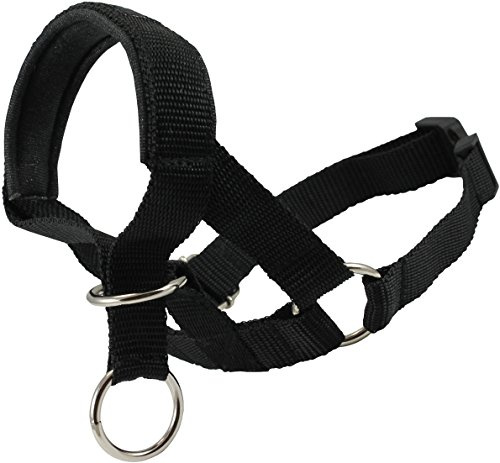 Dog Head Collar Halter Black (XS 4inch7inch Snout)