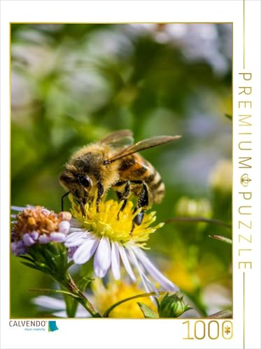CALVENDO Puzzle Biene auf Marguerite | 1000 Teile Lege-Größe 48 x 64 cm Foto-Puzzle für glückliche Stunden