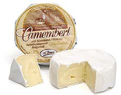 Queso CAMEMBERT 125 GR