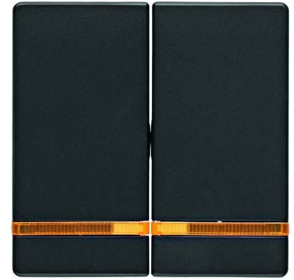 Tecla dobles con indicador luminoso, Q.1/Q.3, antracita, aterciopelado