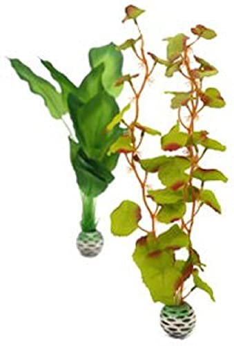biOrb Jeu de plantes en soie M en vert