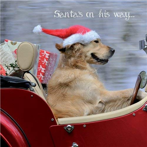 Golden Retriever Charity Weihnachtskarten Santa 's auf dem Weg – 10 Stück