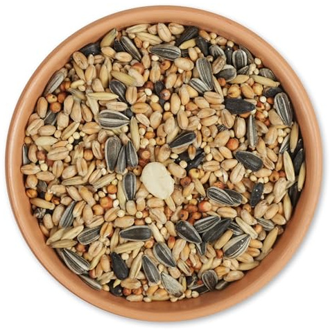 CJ Wildlife Streufutter für Wildvögel 2,5kg – Ganzjährig – Wildvogelfutter – 100% Natürlich – Ohne Zusatzstoffe, Farb- oder Aromastoffe