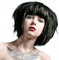 La Riche Directions Haarfarbe 88ml (Ebenholz Schwarz)