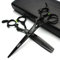 Friseur professionelle 6Zoll-7Zoll-8Zoll-9Zoll-High-End-JP440c Friseur Schere Anzug Frisur Stil Frisur Werkzeuge haarschere set (scissors set) (6-Zoll 2PC-D)