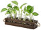 EylKoi Ausbreitungsstationen mit Holzständer Glas Pflanzgefäße für Zimmerpflanzen Doppelschicht mit 5 Glasflasche, Retro-Pflanze Terrarium Desktop Jar Geschenke für Pflanzenliebhaber Hydroponic Vase