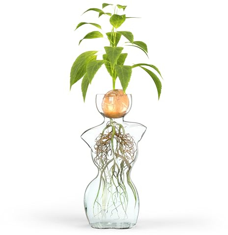 HMC Elegante Glasvase mit weiblicher Silhouette für Pflanzenvermehrung und Blumenarrangements, perfekt für Samenstarting, Wasserwurzeln und Heimdekoration, ideal für Avocado, Zwiebeln und
