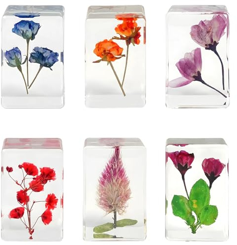 6 Stück getrocknete Blumen-Harz-Würfel, transparente Briefbeschwerer für Büro und Heimdekoration, Geschenkakzent im Büro