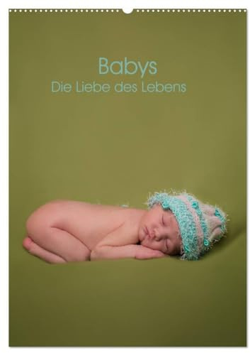 Babys - Die Liebe des Lebens (Wandkalender 2026 DIN A2 hoch), CALVENDO Monatskalender: Neugeborene liebevoll fotografiert (CALVENDO Menschen)