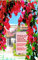 HOLLY'S LITTLE PALM BEACH SHOPPE (English Edition)