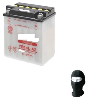 Compatible avec Triumph Thunderbird 6 Speed (T309RT) 900 1998-2003 Batterie YUASA YB14L-A2 12V / 14AH Batteries pour DEMARRER Moteur Moto Scooter Specification Deja Pret