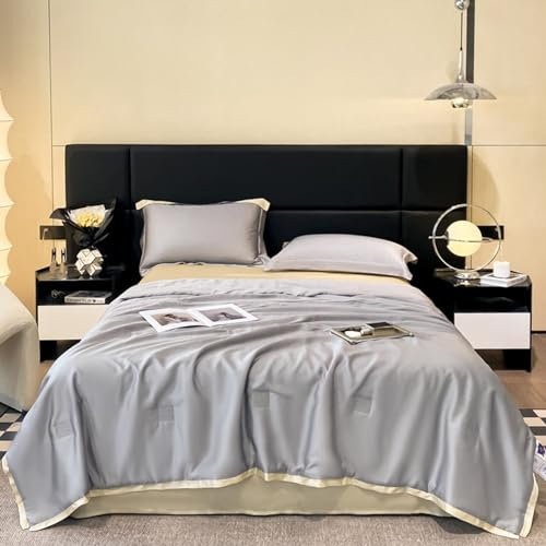 LadPumly Eisseiden Steppdecke Seidig Den Sommer Kühlend Bettbezug Klimaanlage Seide Tröster Nackte Schlafdecken 4teiliges Bettwäsche Set Luxuriös Haare Haut Schlafen(Color:Greey,Size:200x230cm)