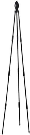 FACAIIO Support pour plantes grimpantes et vignes, hauteur 160 cm, plastique PE noir avec cadre en fer et treillis de jardin