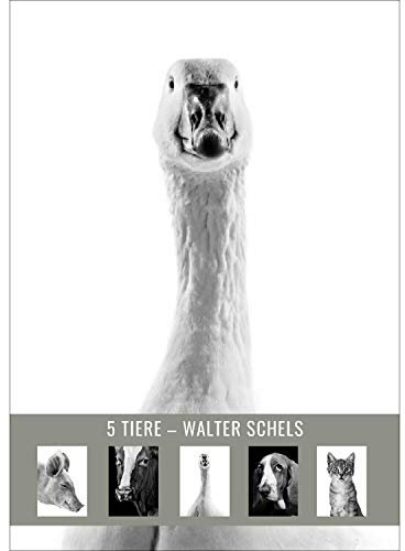 5 TIERPOSTKARTEN. Postkartenset # 6 Walter Schels