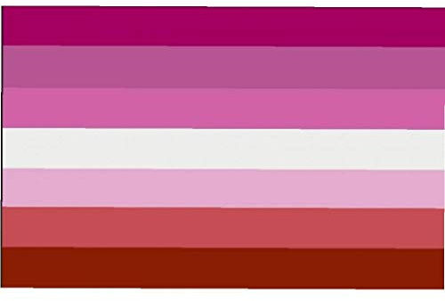 BYFRI Lesbian Pride Flag Lesbian Geschenke | lichtbeständige Farbstoff für Vivid Color 100% Super-Polyester Material -Complete Set Stolz-Fahne 3 * 5 ft