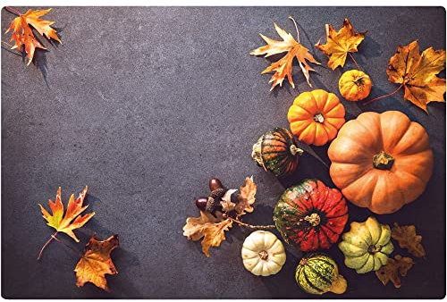 matches21 Herbstliches Tischset Platzset Motiv abwaschbar Kürbisse Herbstlaub Herbst auf Beton bunt 1 STK 43,5x28,5 cm