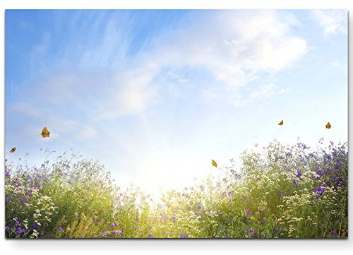 Paul Sinus Art Leinwandbilder | Bilder Leinwand 120x80cm sommerliche Blumenwiese