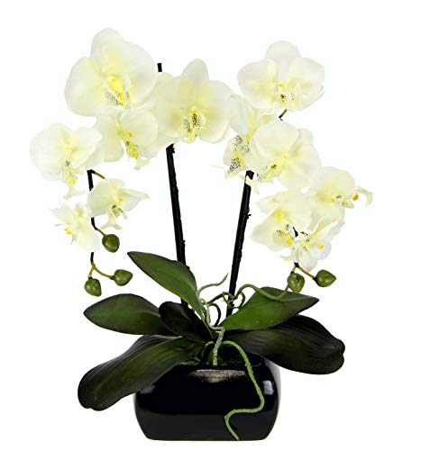 Flair Flower 089347W