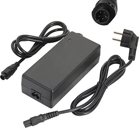 HANERIDE 42V 2A Ladegerät für Phylion mit 5PIN(polig) für Pedelec SF-03/Wall-ES 36V Akku