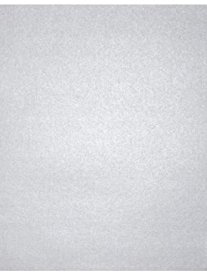 11 x 17 Metallic Karton (50 Stück.) Silberfarben metallisch