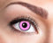 Goldschmidt Kontaktlinsen 3-Monatslinsen Halloween Motiv hochwertig (Pinker Manson, 0.00 Dioptrien)