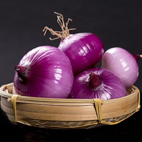 Zwiebel Samen Wintersteckzwiebeln Steckzwiebeln Winterhart Zwiebeln Frisch KüChenkräUter GemüSesamen Hochbeet Samen GemüSe Winterharte Pflanzen FüR Garten Pflanzensamen Gartenpflanzen 150 Zwiebelsamen