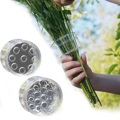 MANYUN Blumenstielhalter, Spiralstielhalter für Vasen, Spiral-Ikebana-Stielhalter, Gracehomee Spiral-Ikebana-Stielhalter, DIY-Blumenstrauß, Twister, Blumenarrangements Supplies