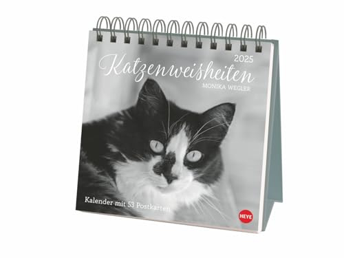 Katzenweisheiten - Monika Wegler - Postkartenkalender 2025 - Heye-Verlag - Aufstellkalender mit 53 heraustrennbaren Postkarten - 16,5 cm x 17,7 cm