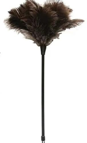 Plumeau Autruche, Plumeau Poussiere Plume avec Poignée Filetée, Ostrich Feather Dusters, Avec brosse de nettoyage rainurée pour chambre, salon, bibliothèque.