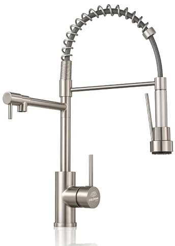GOLDMAN SERVICE | Robinet de Cuisine Monocommande Amovible et Extensible – Acier Inoxydable, 2 modes d'eau (Spray/flux), rotatif à 360°, Tuyau de 40 cm, Robinet D'évier Flexible