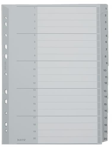 Leitz Plastikregister (10, Grau, 1-20, A4, PP, 20 Blatt)