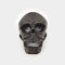 Jeray The Mixology Collection Cast Iron Wall Mounted Skull Bottle Opener