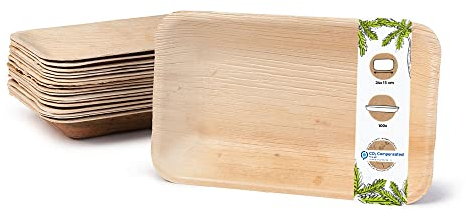 BIOZOYG Einwegteller 100 Stück 24 x 15 cm - Palmblatt Teller Wegwerfgeschirr rechteckig & kompostierbar - Einweg Partygeschirr, Alternative zu Plastiktellern