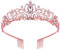 Kristall Tiara Roségold Krone Stirnband Prinzessin Elegante Tiara mit Kämmen, Strass Hochzeitstag Geburtstag Tiara Kristall Brautkrone mit Kamm Prinzessin Krone Stirnband für Frauen