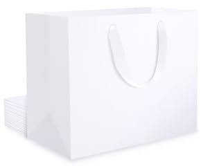 EUSOAR Papiertüten Weiß mit Henkel - 250gsm Geschenktüten Weiss Hochwertig- 10 stück S 22x10x18 cm Kraftpapier Papier Tüte Klein-Geschenk Tasche Papiertragetasche - Geschenktüte Schlicht