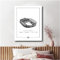 Sverigemotiv.se English Premier League Arena Posters (Barcelona - Camp Nou, 50x70 cm)