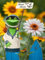 Pommerntraum ® | Zaunhocker Pfostenhocker Zaunfigur Dekorationsfigur Gartendekoration Frosch Frösche (Frosch Moin Moin)