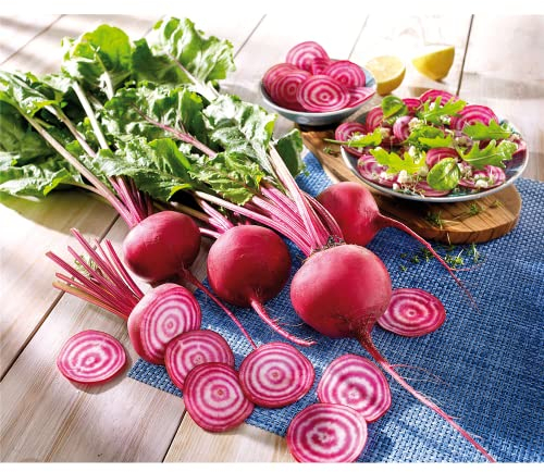 Rote Beete 'Chioggia' - Beta vulgaris var. conditiva - Portion Samen (80 Korn) - Volmary - Portion Samen (80 Korn)