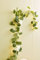 FLCSIed 20 LED Artificial Eucalyptus Garland with Rose Flowers Vine with Fairy Lights for Home Party Decoration (White)