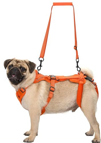 OneTigris Hundegeschirr, Hopper Kleines Unterstützung Geschirr Einstellbares Hebegeschirr mit 2 Griffen für Unterstützung und Rehabilitation Geeignet für Kleiner Hund Orange S