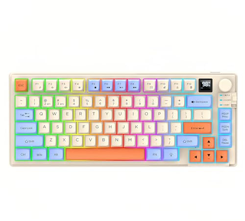 Lancoon Kabellose Gaming Tastatur mit 80 Tasten Batteriestandsanzeige Lautstärkeregler Mischfarbe Licht Multimedia Funktion Mechanisch für Büro Arbeit Laptop PC