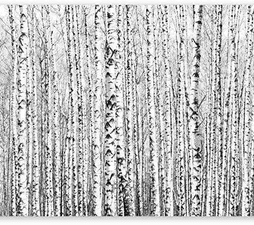 Fototapete murando Baum 400x280 cm Vlies Tapeten Wandtapete XXL Moderne Wanddeko Design Wand Dekoration Wohnzimmer Schlafzimmer Büro Flur Birke Wald Landschaft Natur schwarz weiß