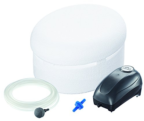 Pontec 57685 PondoPolar Air - Eisfreihalter / effektiver Frostschutz mit Luftpumpe für Gartenteich, Schwimmteich, Fischteich, Pool