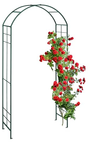 Relaxdays Arche à rosiers, métal, Portail de Jardin, HxLxP : 224x110x41 cm, tuteur Solide pour Plantes grimpantes, Vert
