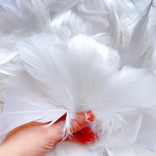 Audamp Federn 300 Stück Weiß Federn zum Basteln für DIY Ohrring, Hochzeit, Traumfänger, Kopfschmucksfedern