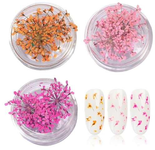 Biglumin 3pcs Set di fiori per nail art Fiori secchi 3D Accessori per unghie in gel Fiori secchi per unghie Accessori per design delle unghie per unghie in gel，rosa,rosa rossa, arancione