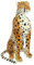 Wagner 2002 - Plüschtier Gepard - sitzend - 80 cm