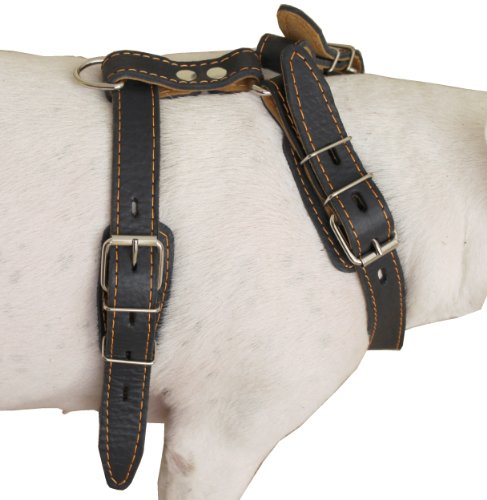 aus echtem Leder Hundegeschirr, 63,5 cm-30 Brust, 2,5 cm Verstellbare Träger für mittelgroße und große Hunde