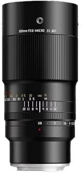 Camera Lens, 100 Mm F2,8 Makro 2X Objektiv for Fotografie, Kompatibel Mit Sony E Fuji XF GFX Canon RF EF Nikon ZFL Mount Z6 XT100,for Photography(L-Mount)